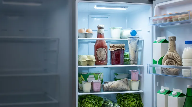 Food spoils forgotten at the back of the fridge